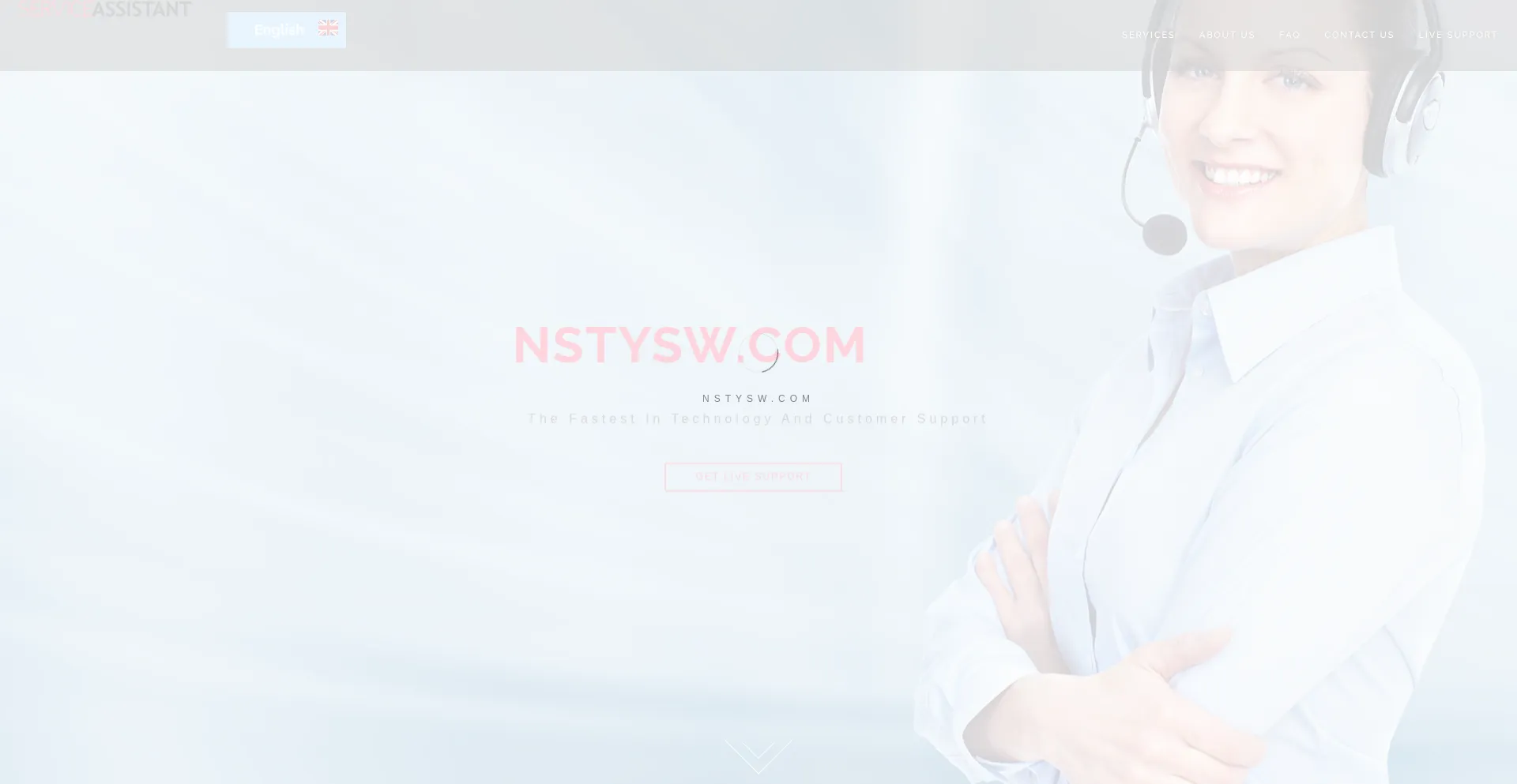 Website screenshot of Nstysw.com