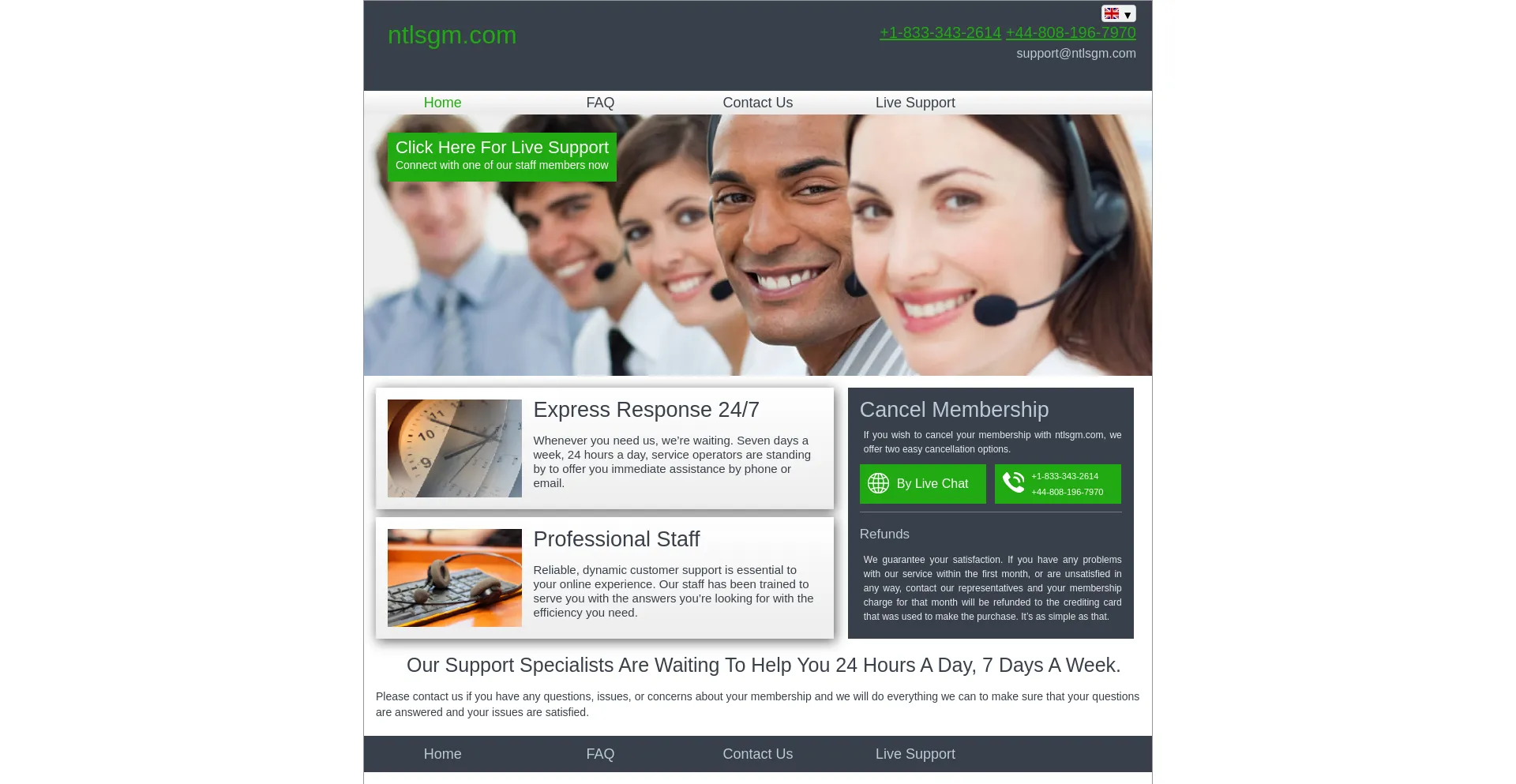 Website screenshot of Ntlsgm.com