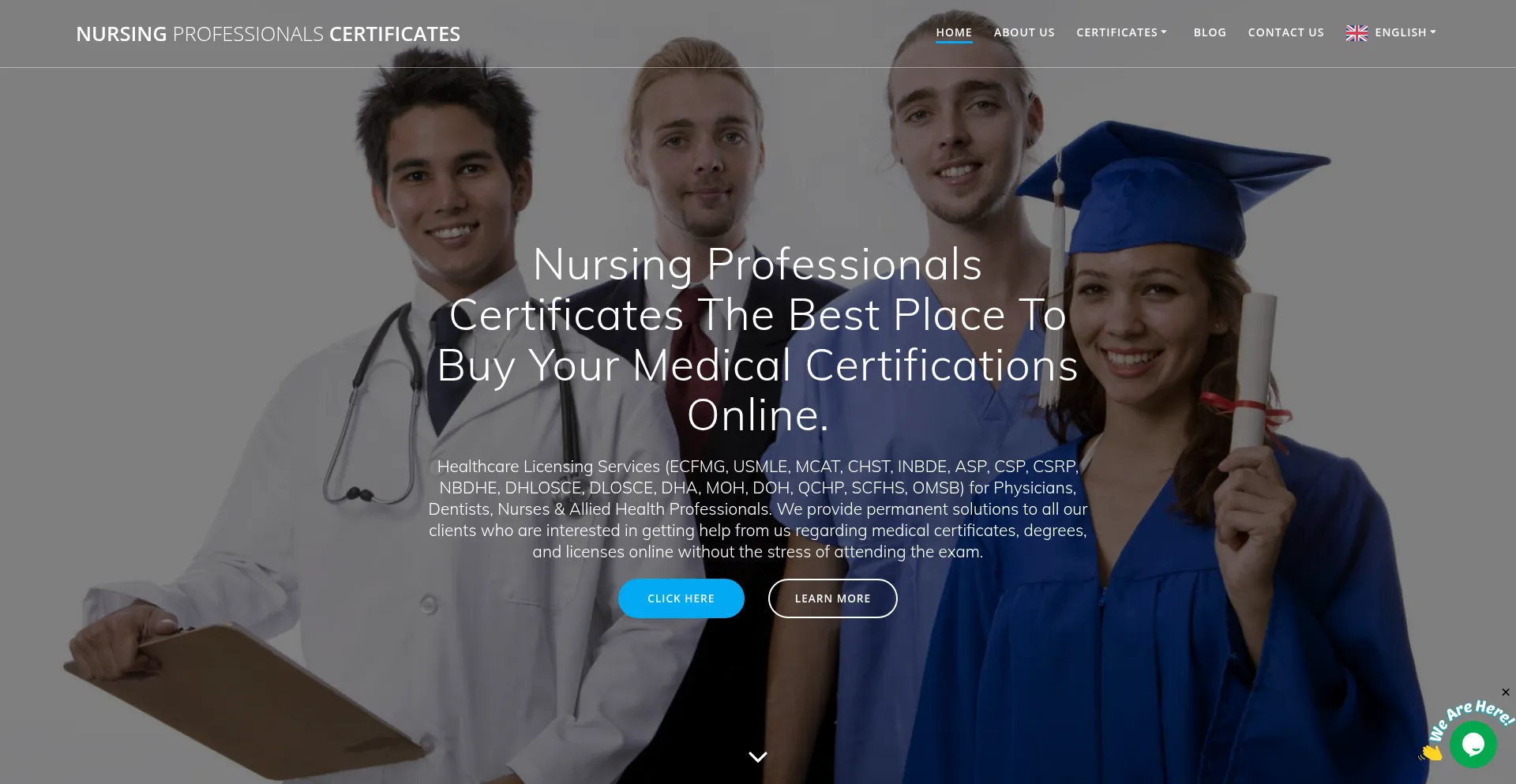 Website screenshot of Nursingprofessionals.info