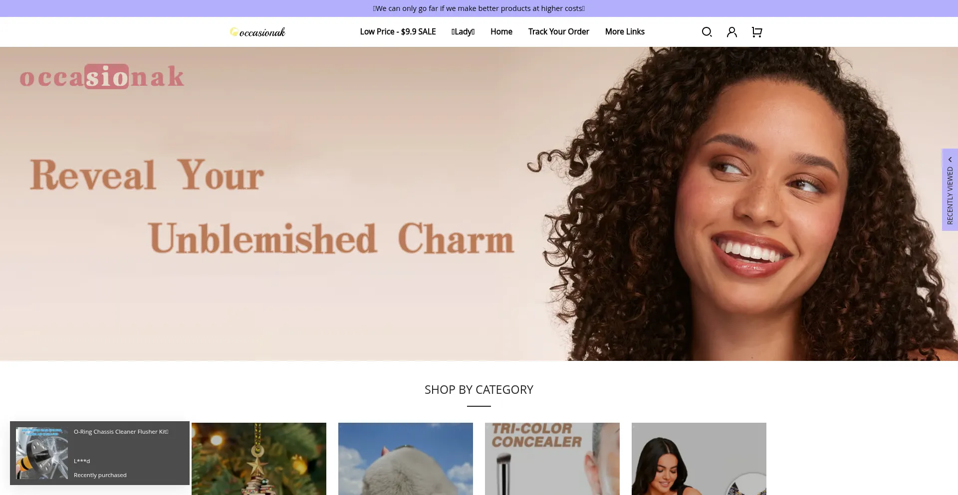 Website screenshot of Occasionak.com