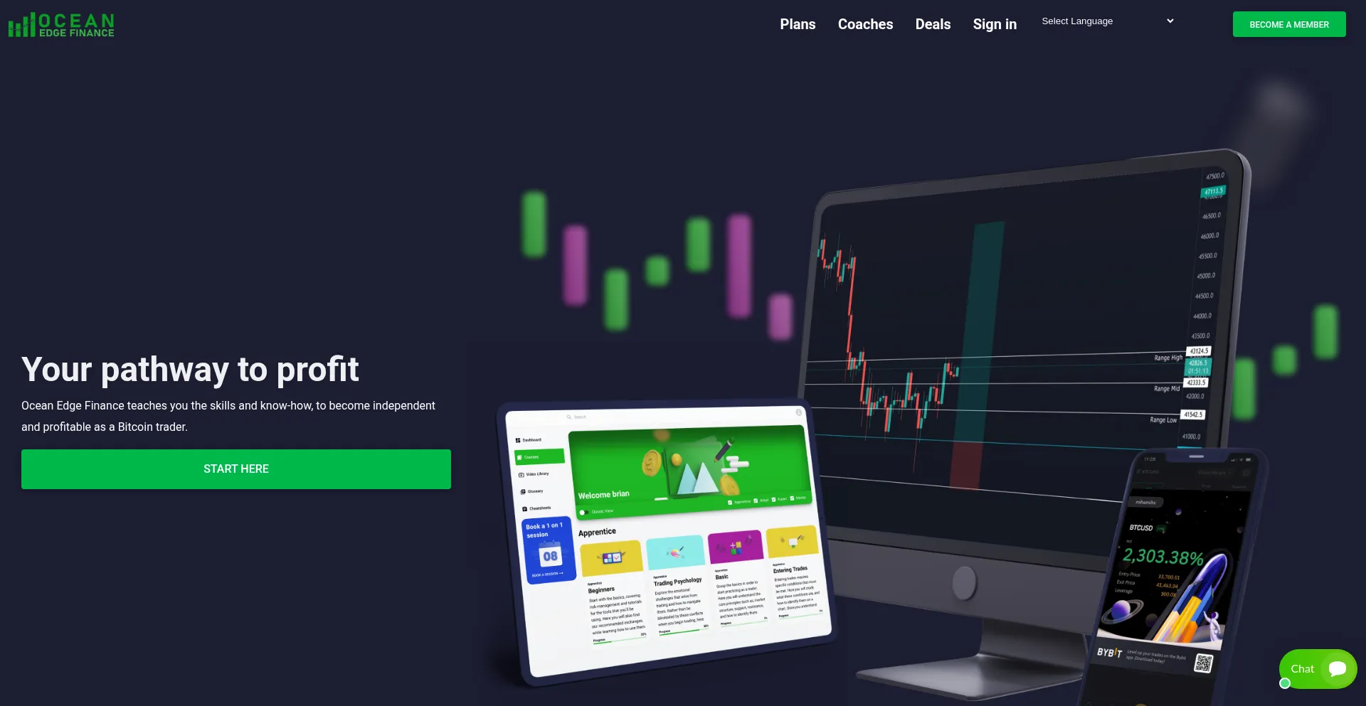 Website screenshot of Oceanedgefin.com
