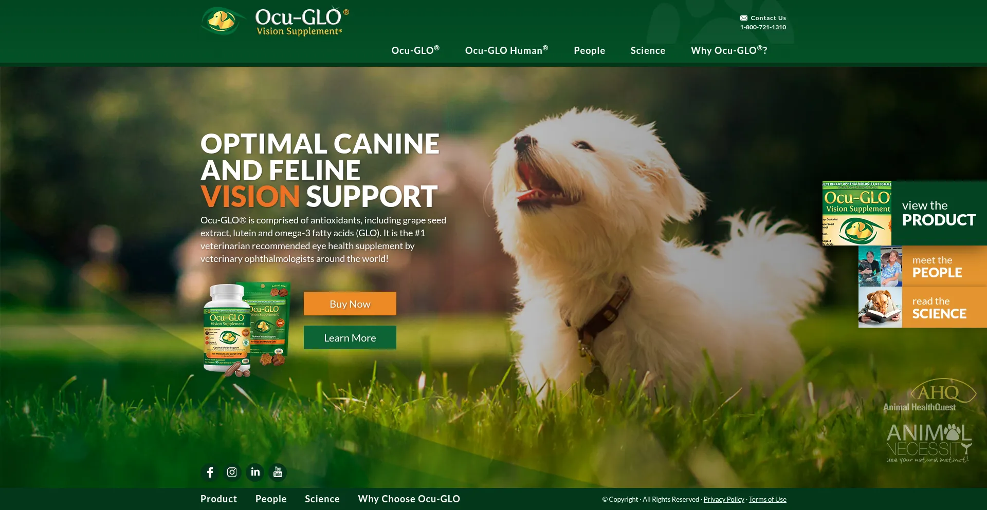 Ocuglo.com
