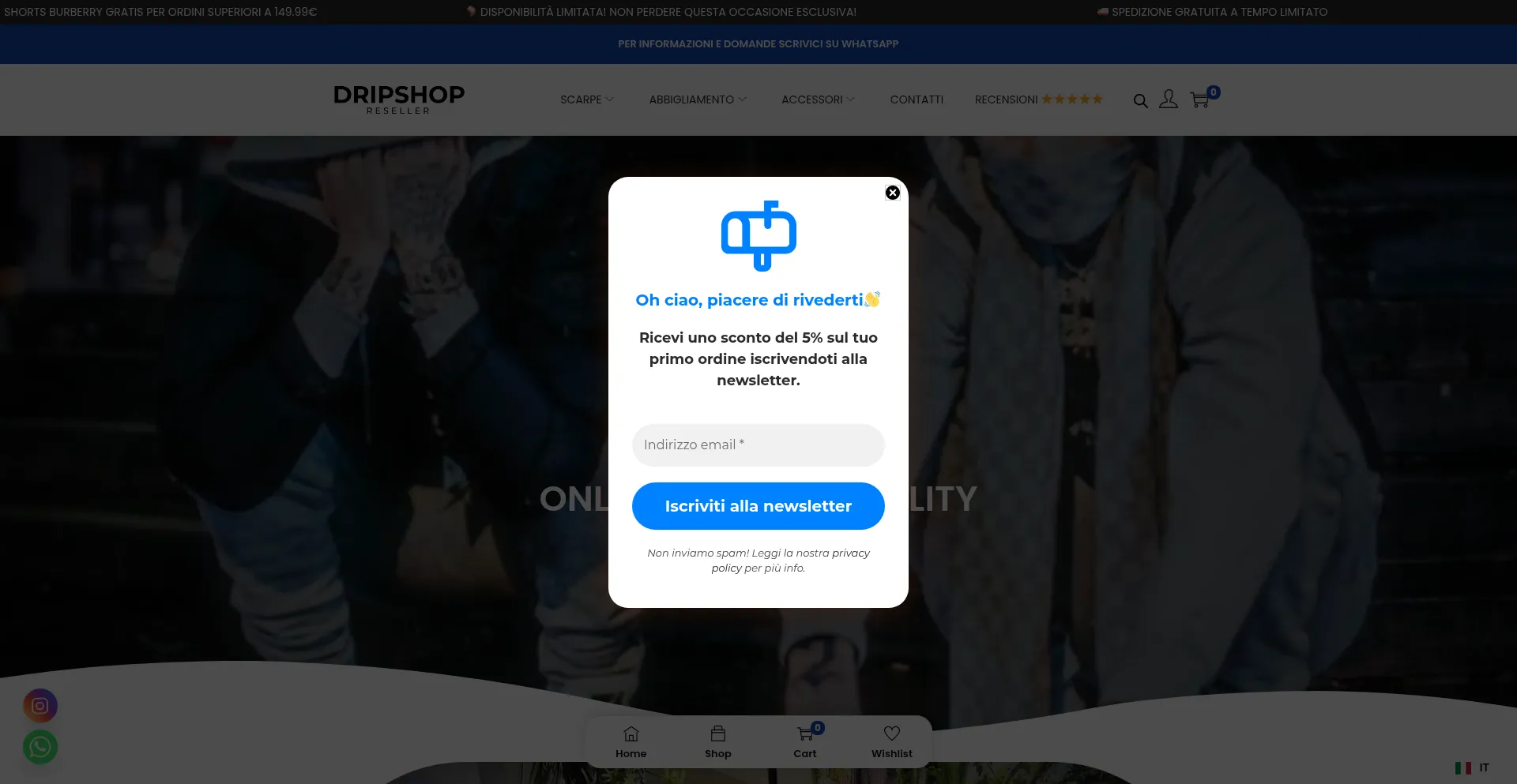 Website screenshot of Odiene-store.com
