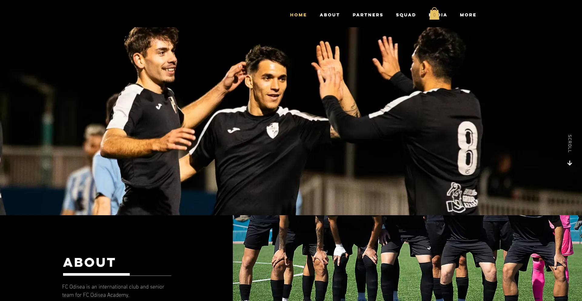 Website screenshot of Odiseafc.com