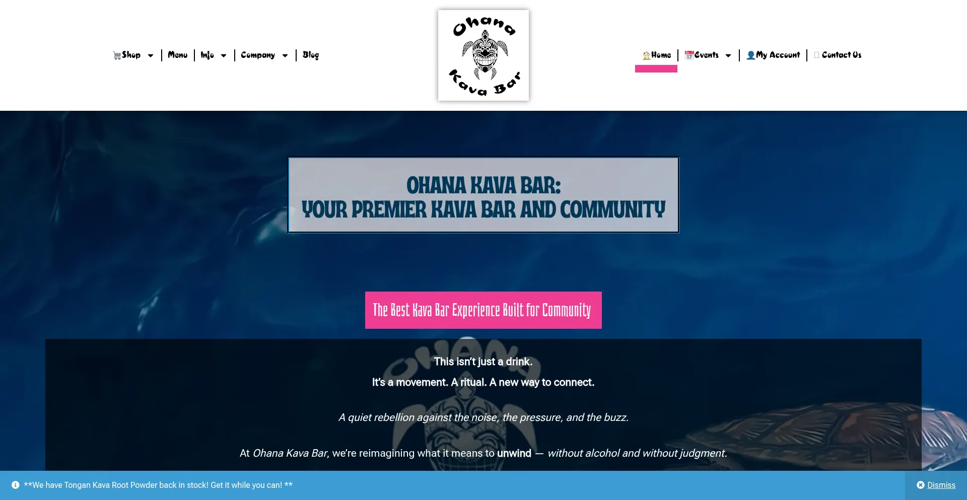 Website screenshot of Ohanakavabar.com