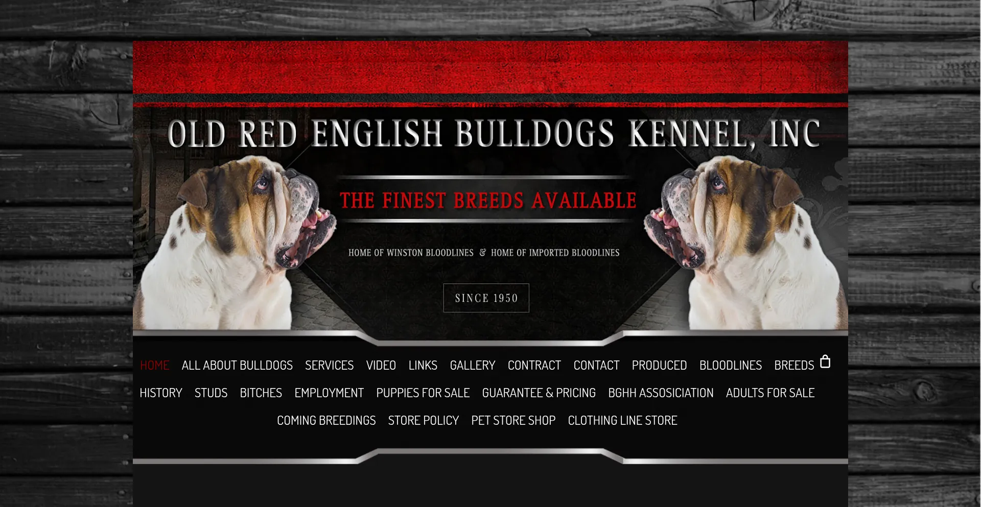 Oldbulldogs.com