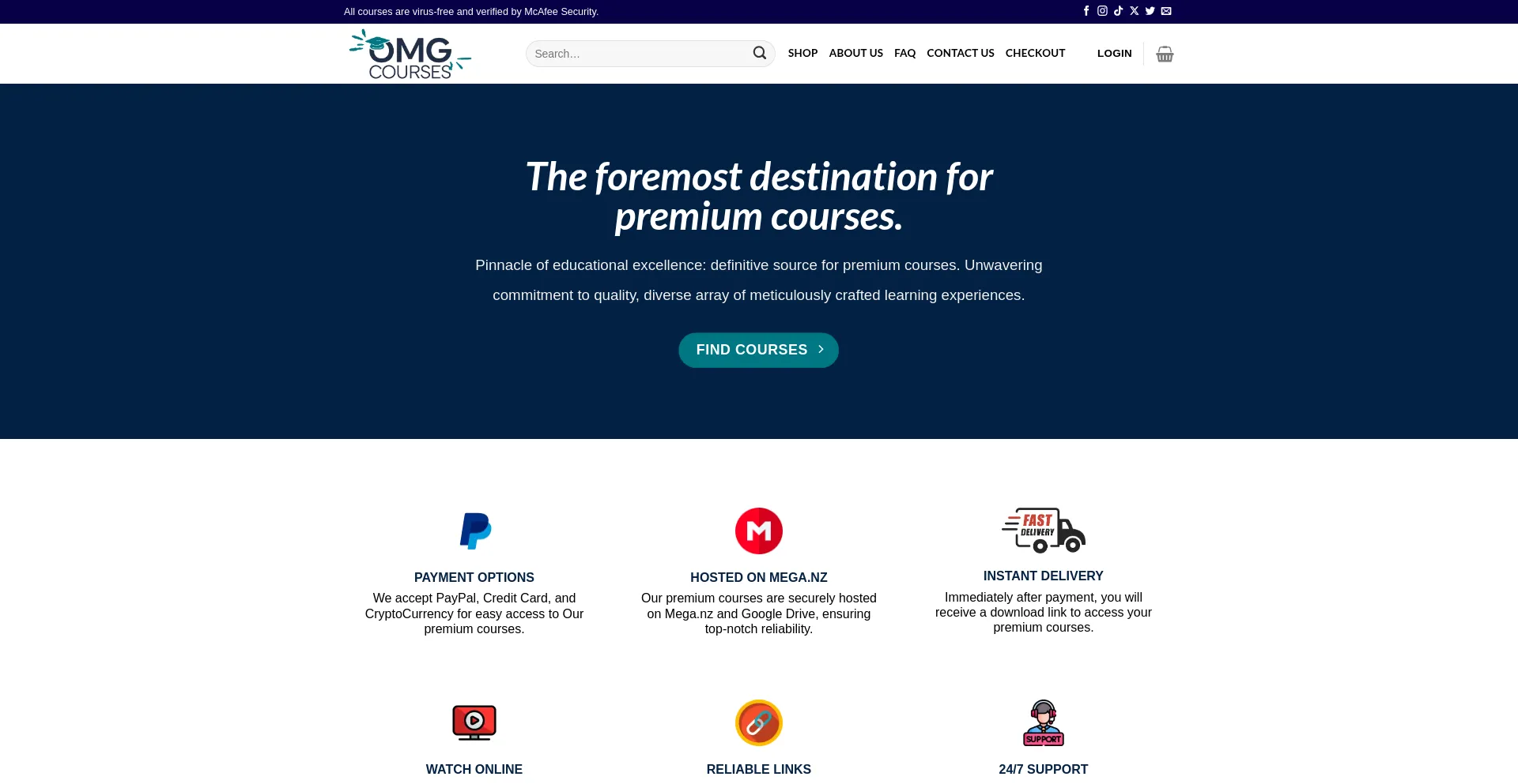Website screenshot of Omgcourses.com