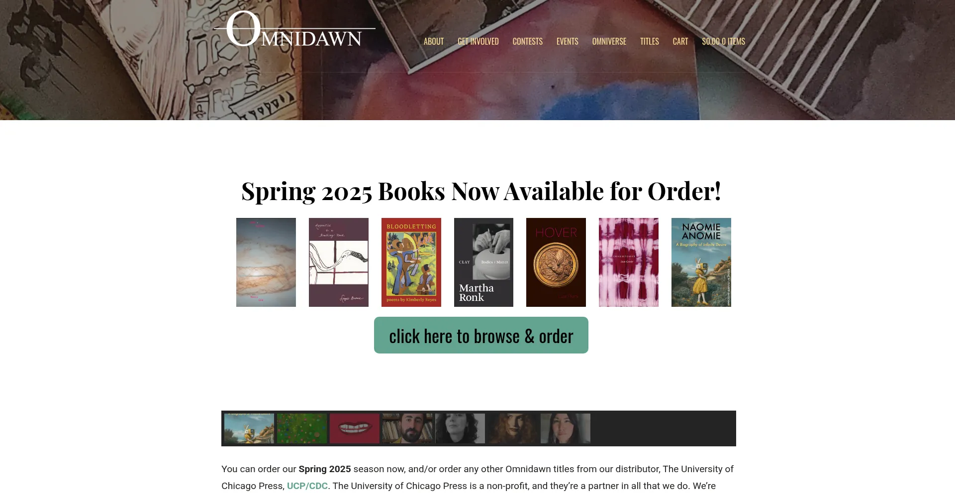 Website screenshot of Omnidawn.com