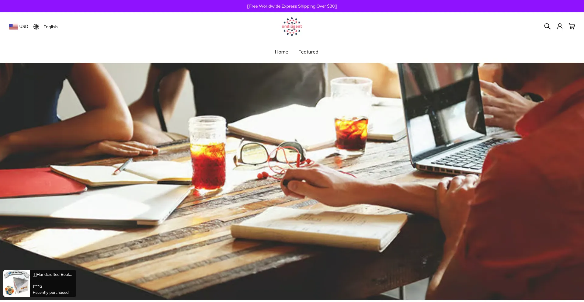 Website screenshot of Ondiligent.com