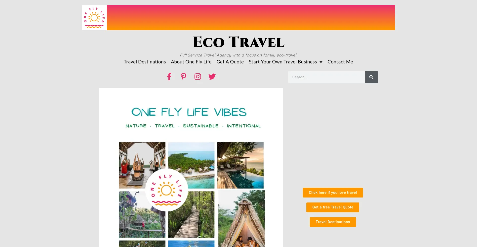 Website screenshot of Oneflylife.com