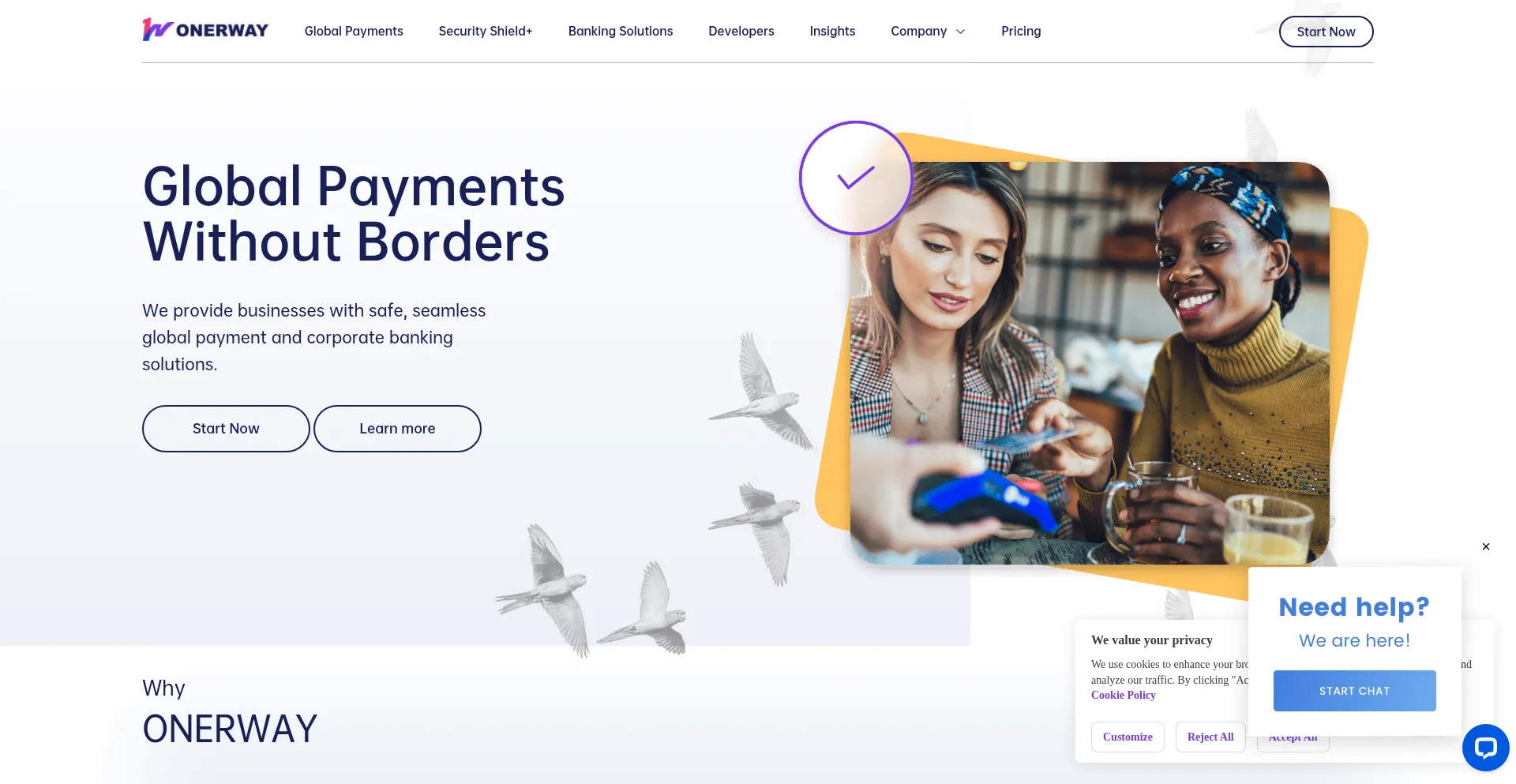 Website screenshot of Onerway.com