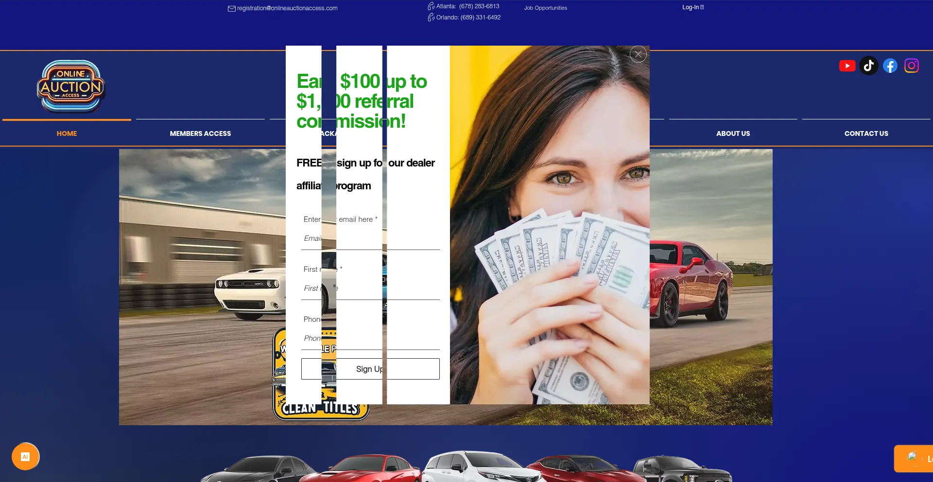 Website screenshot of Onlineauctionaccess.com