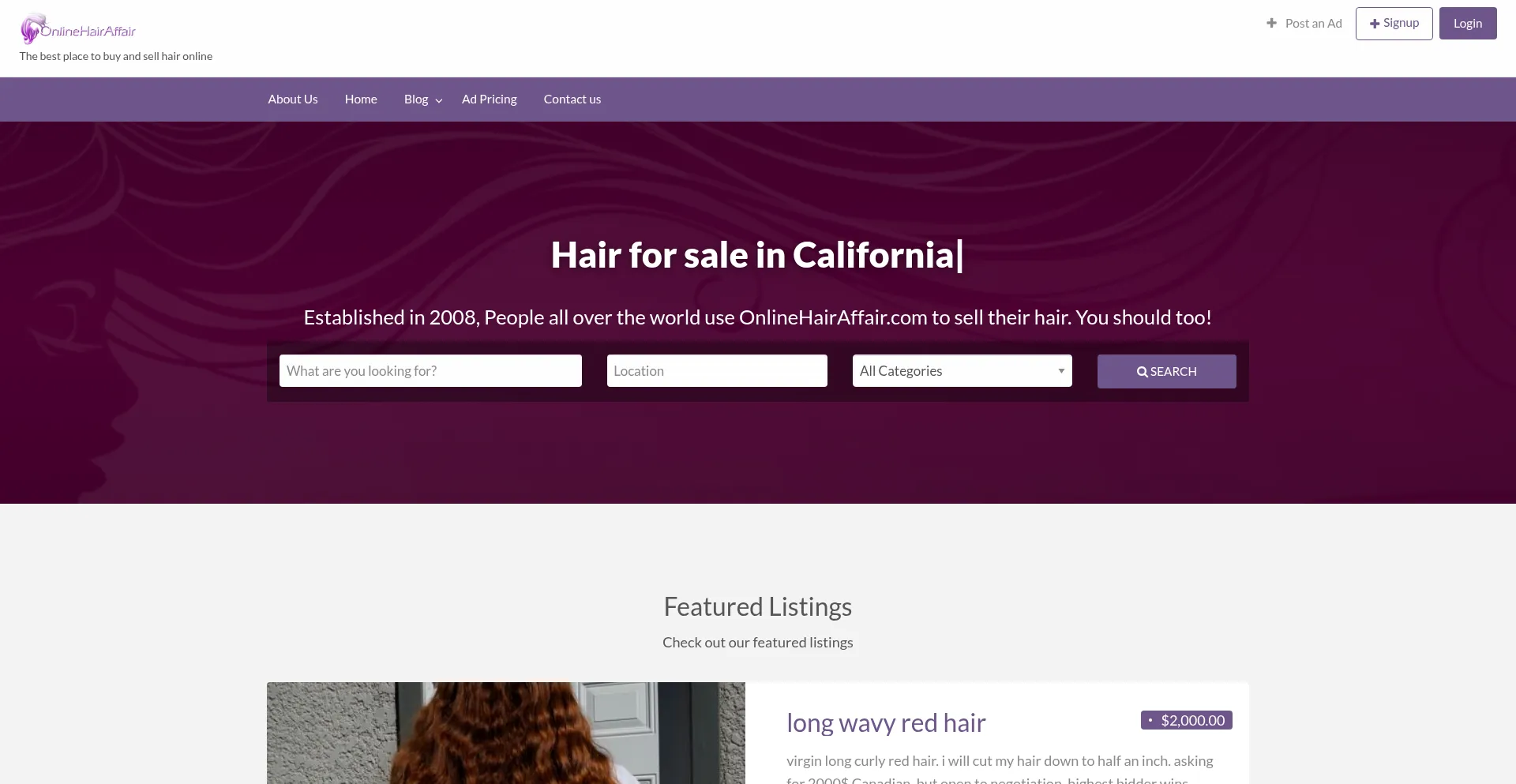 Website screenshot of Onlinehairaffair.com