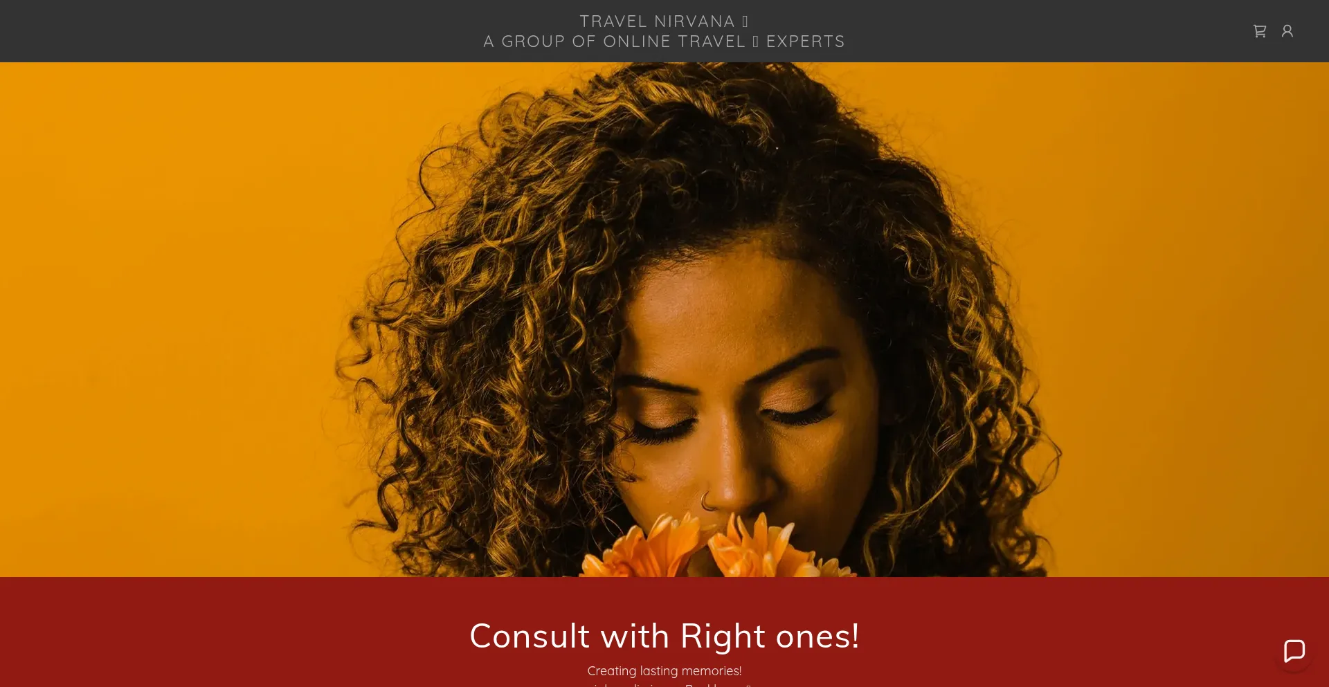 Website screenshot of Onlytravelnirvana.com