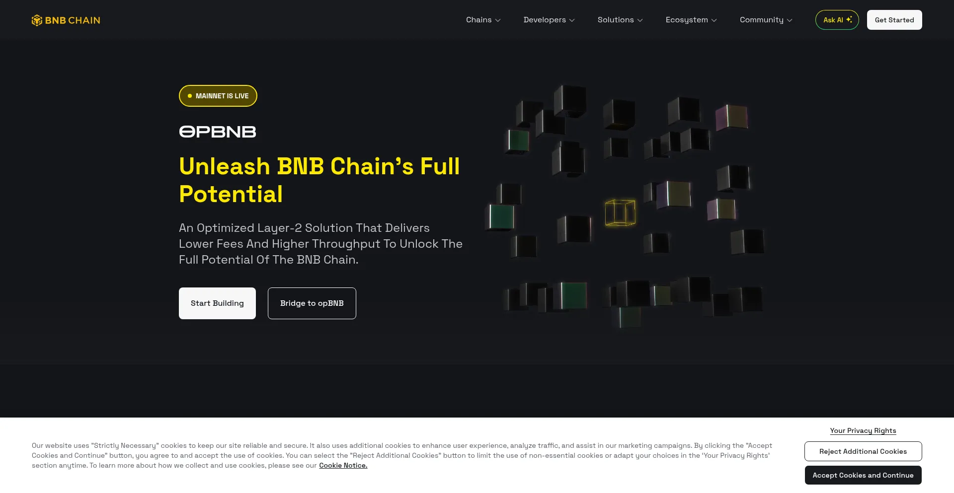Website screenshot of Opbnb.bnbchain.org