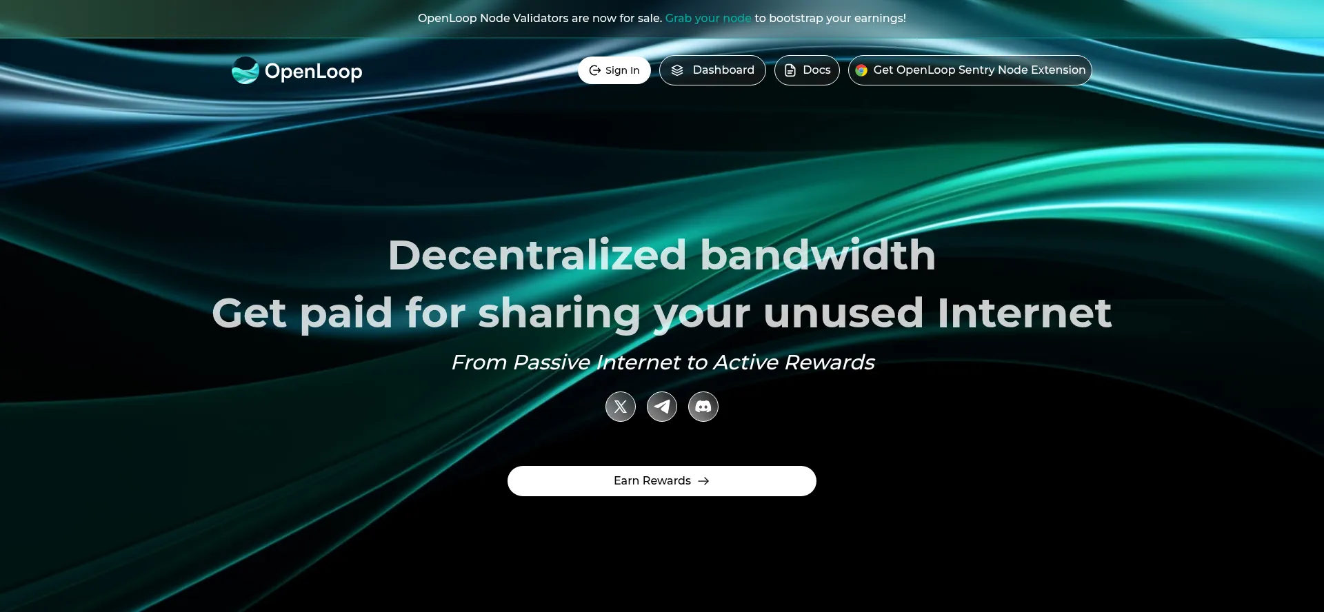 Website screenshot of Openloop.so