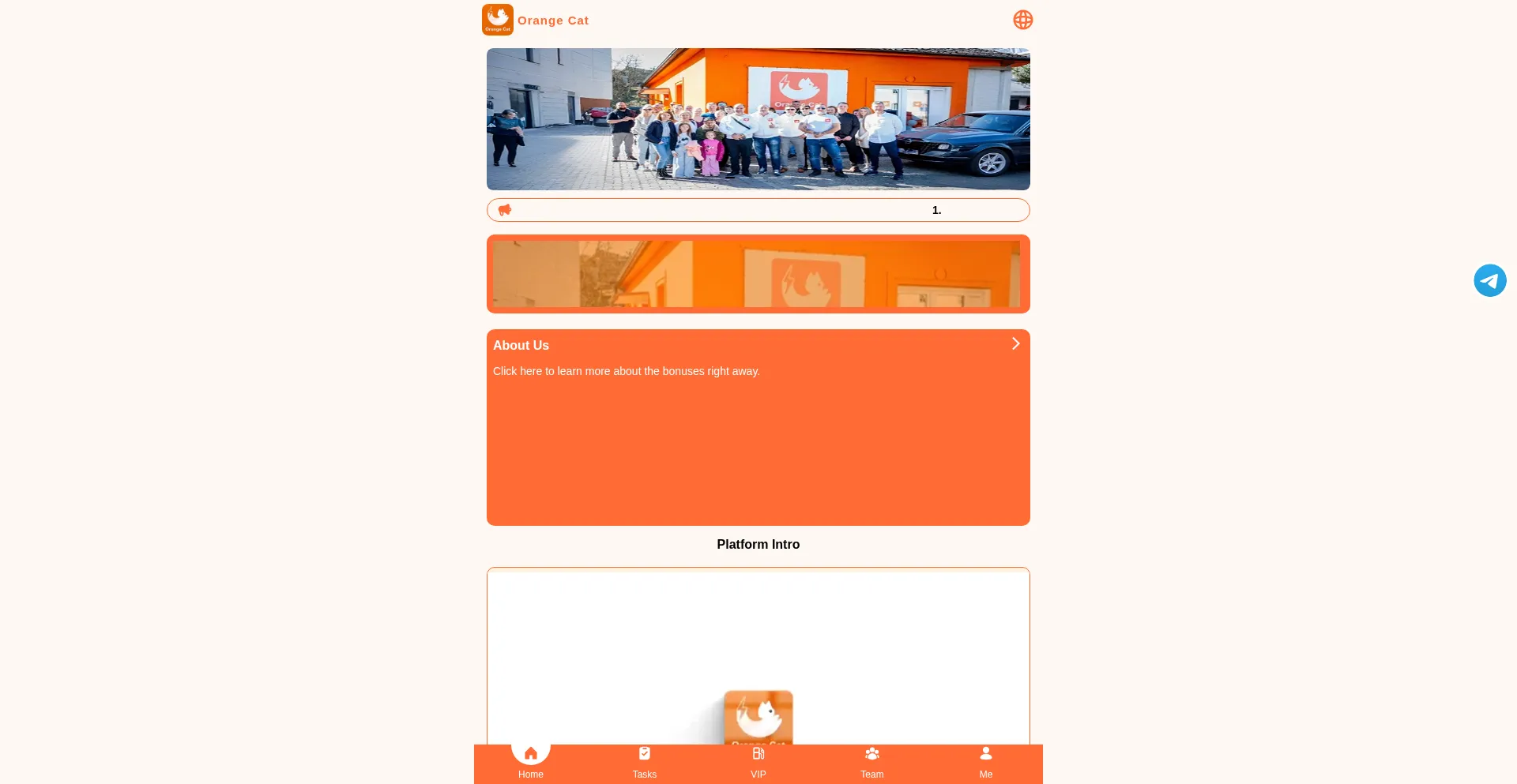Orangecatenegy.net