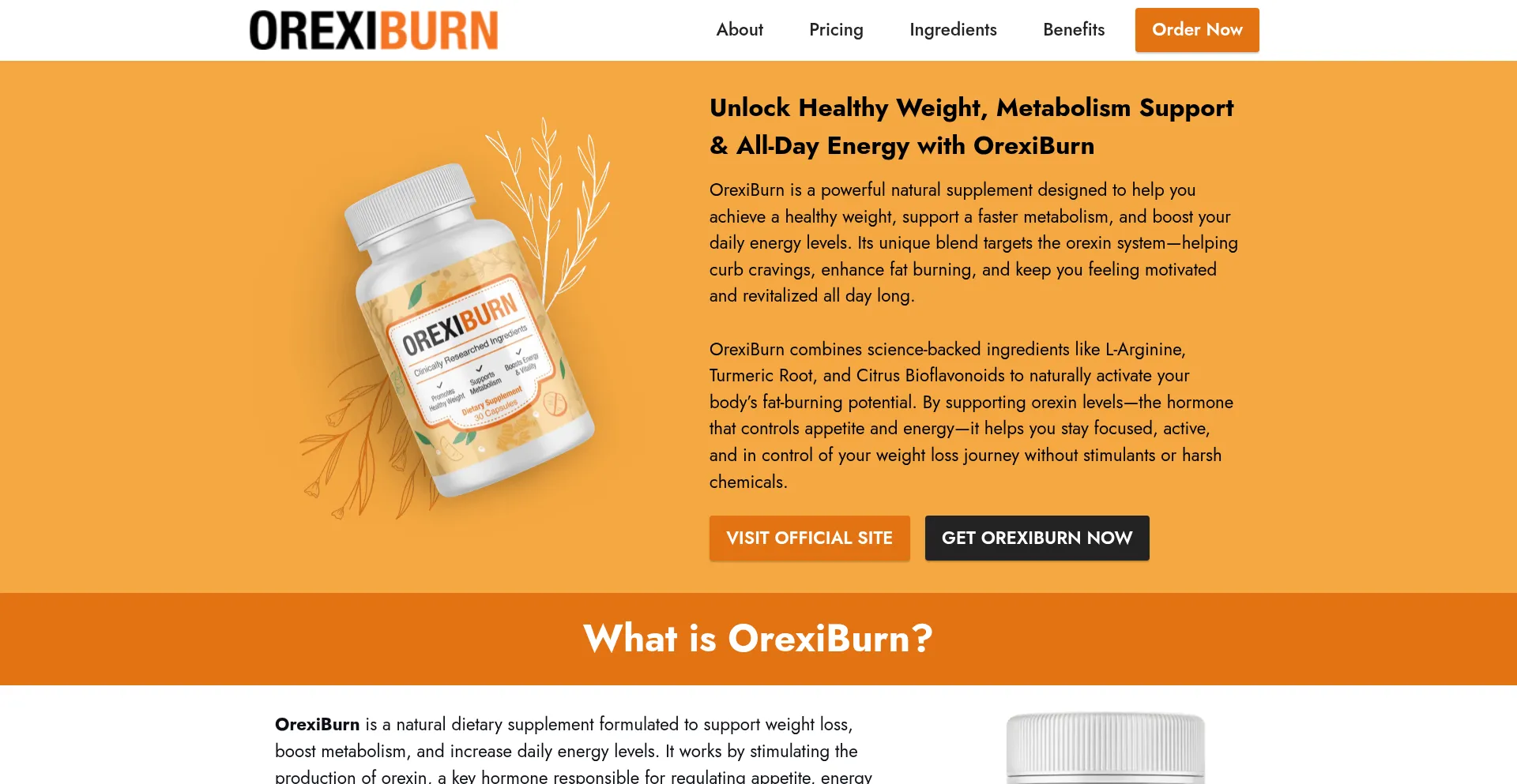 Website screenshot of Oraxibrn.com