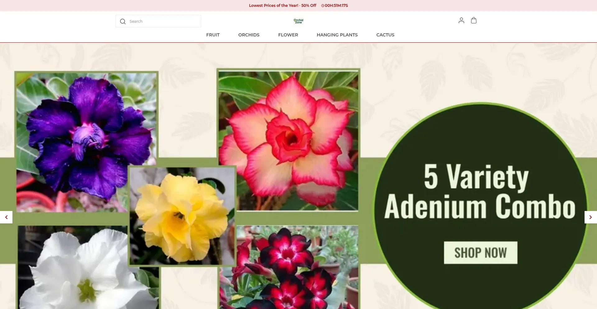 Orchidzone.in