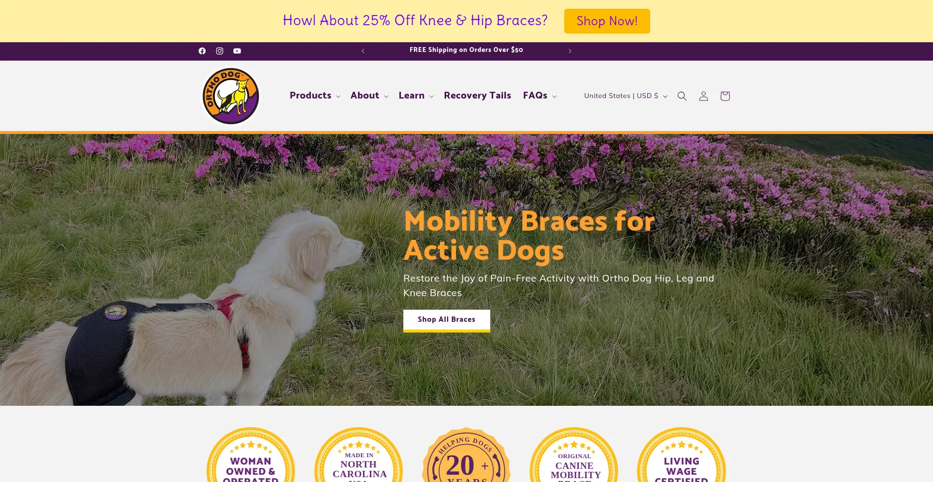Orthodog.com Screenshot