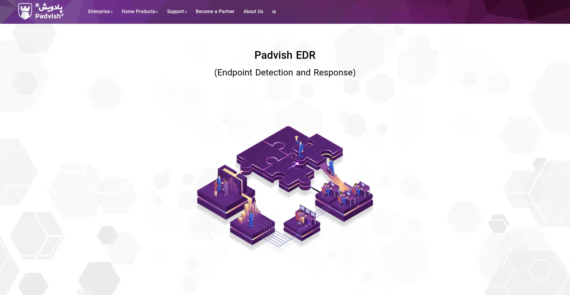 Website screenshot of Padvish.com