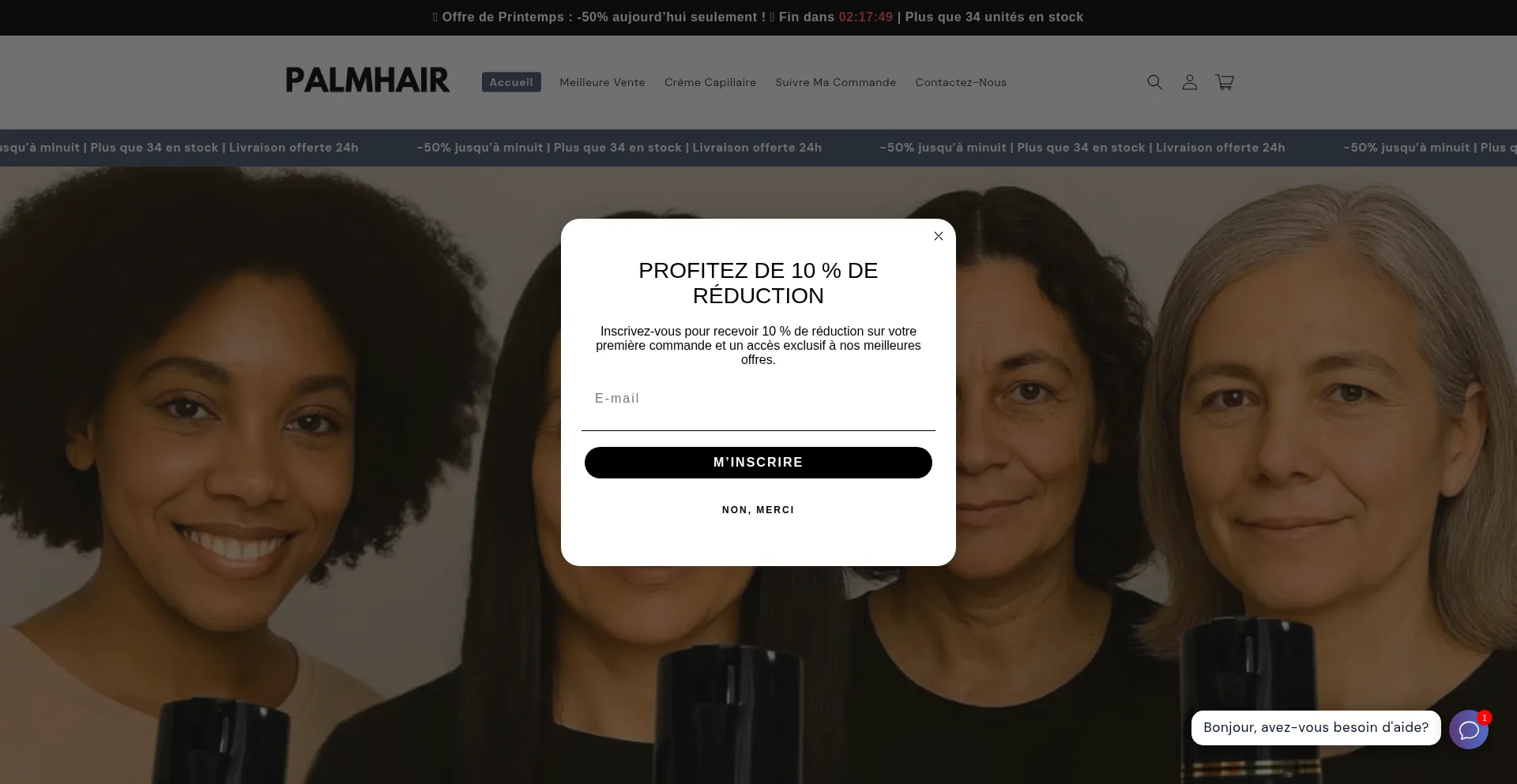 Website screenshot of Palmhair.ca