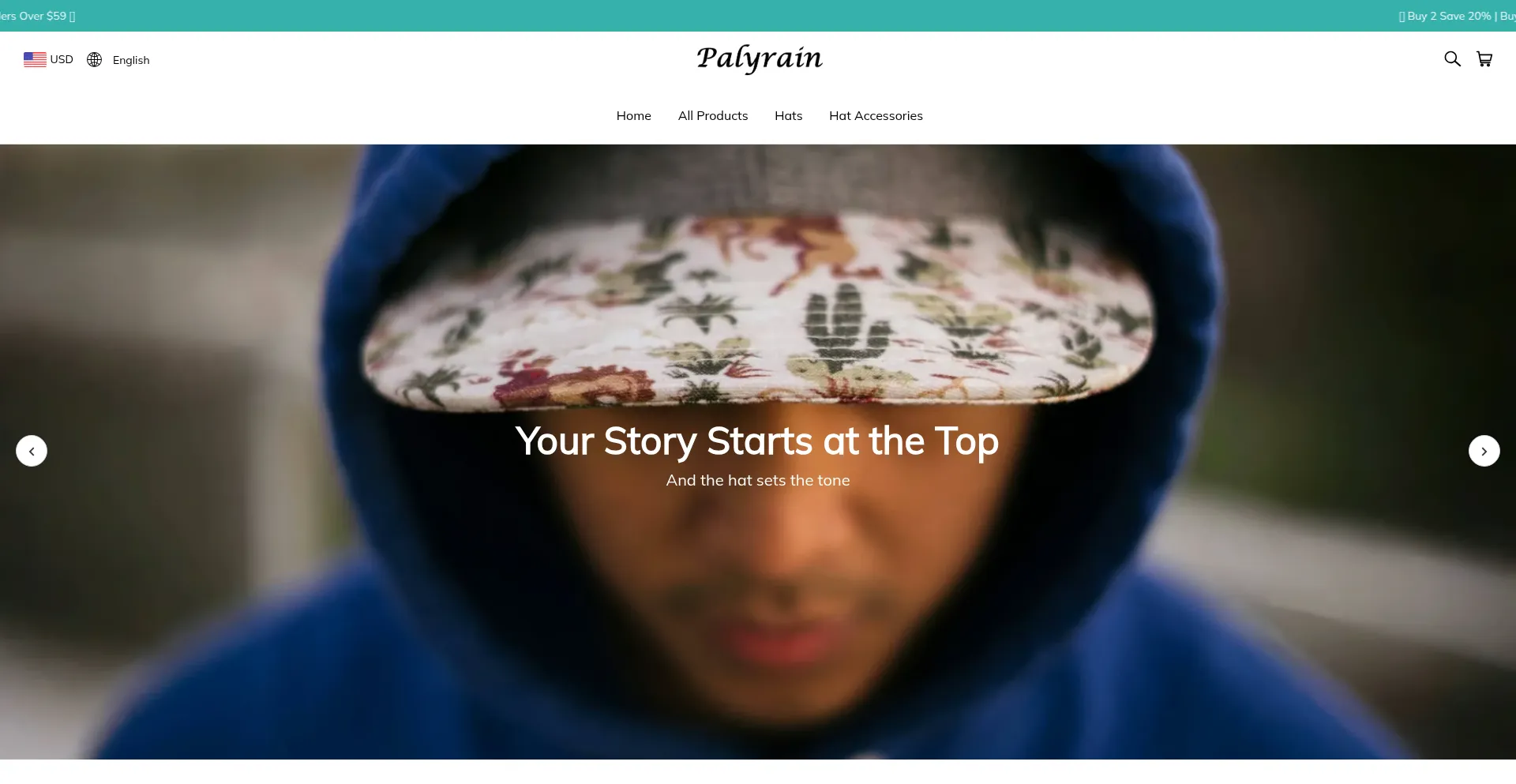 Palyrain.com Screenshot