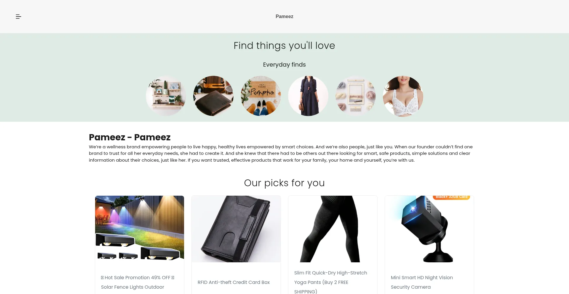 Pameez.com Screenshot