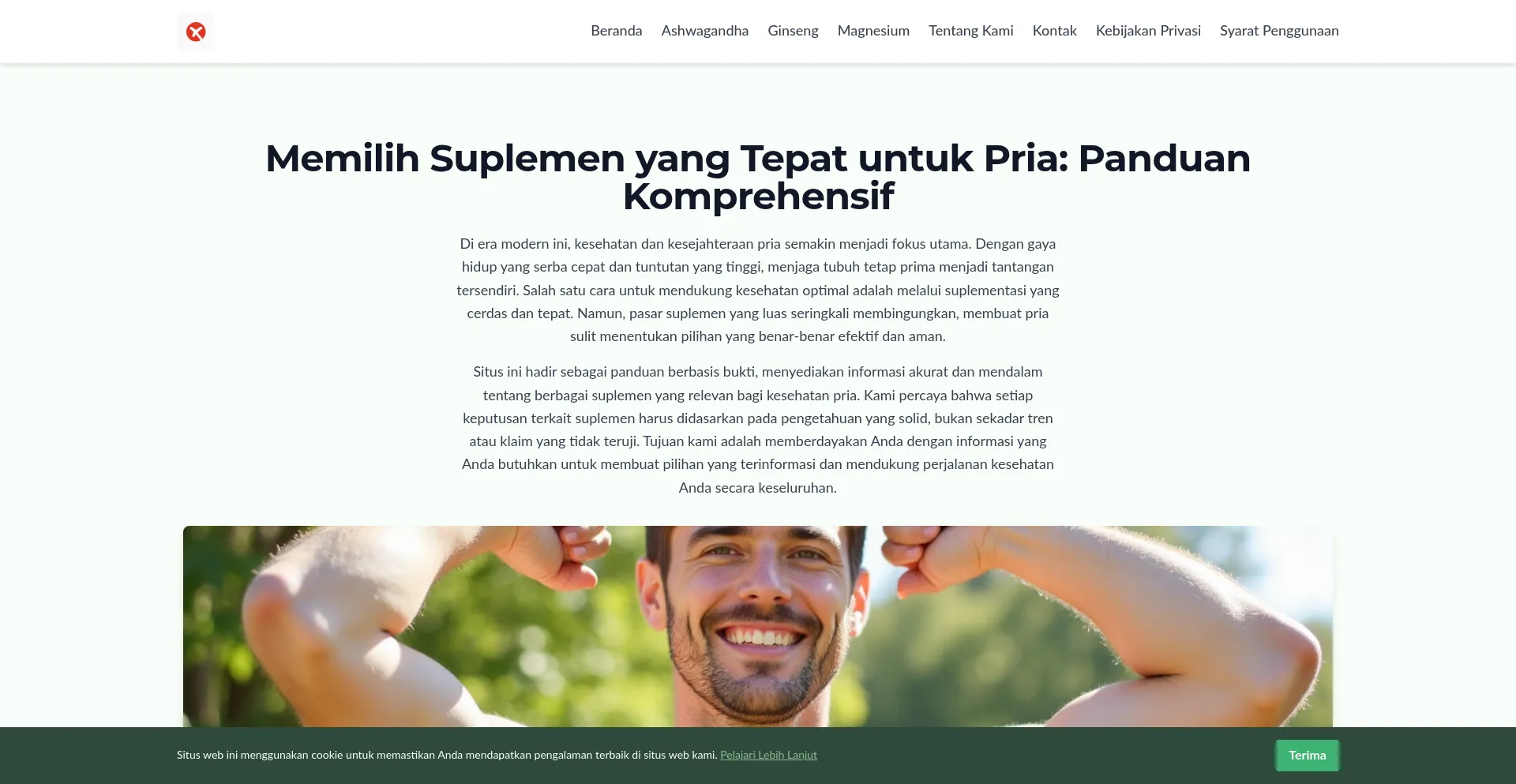 Website screenshot of Panduansuplemenprian.com