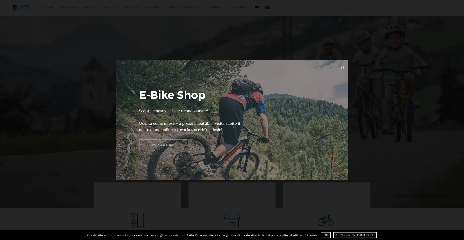 Website screenshot of Papinsport.com