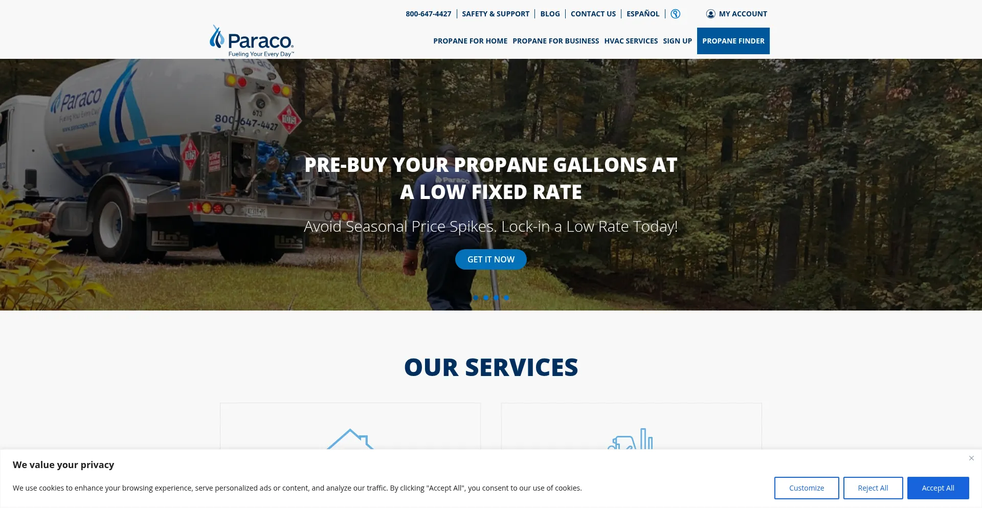 Website screenshot of Paracogas.com