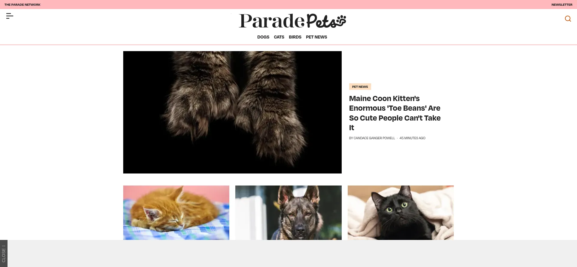 Paradepets.com 安全可靠吗？