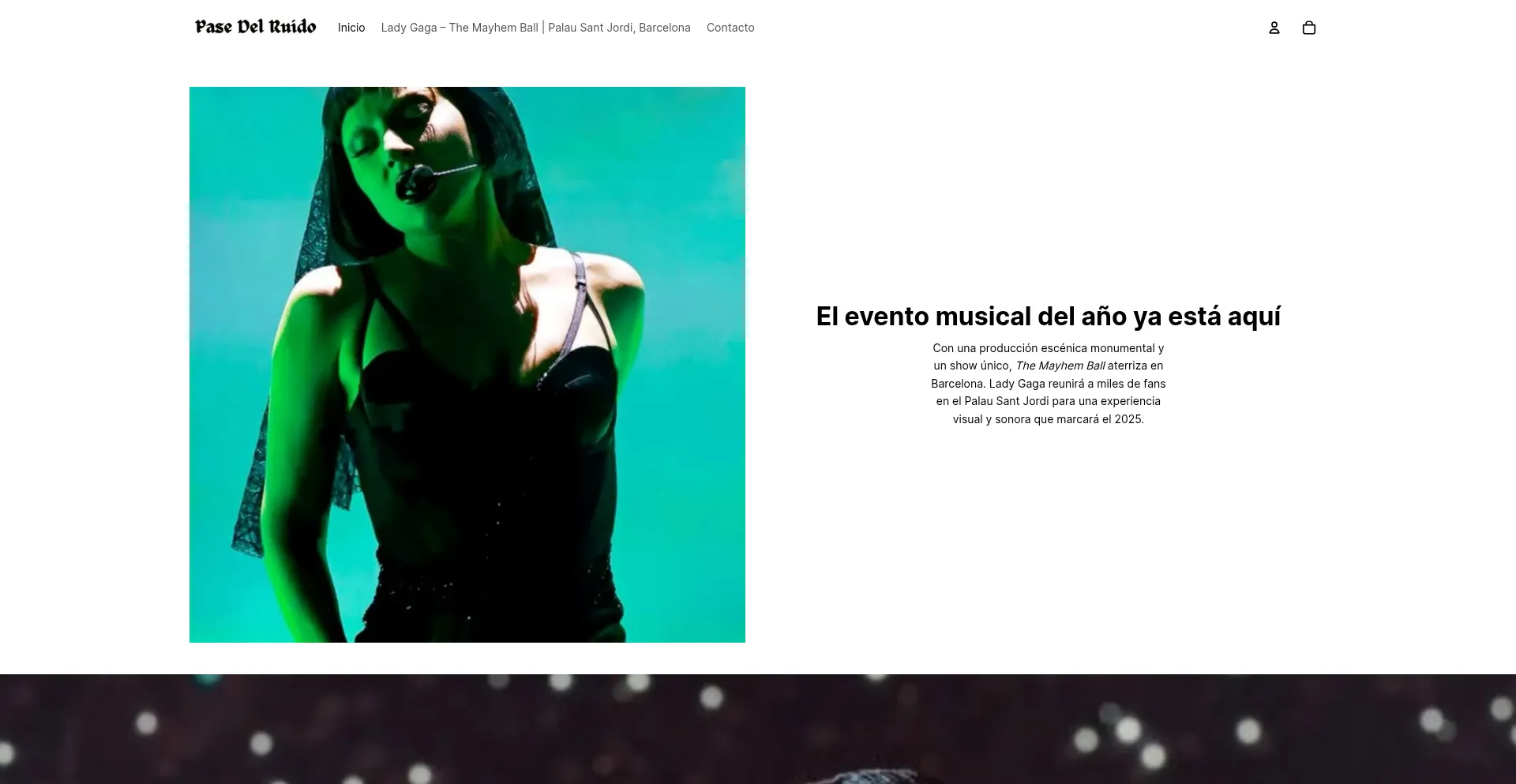 Website screenshot of Pasedelruido.com