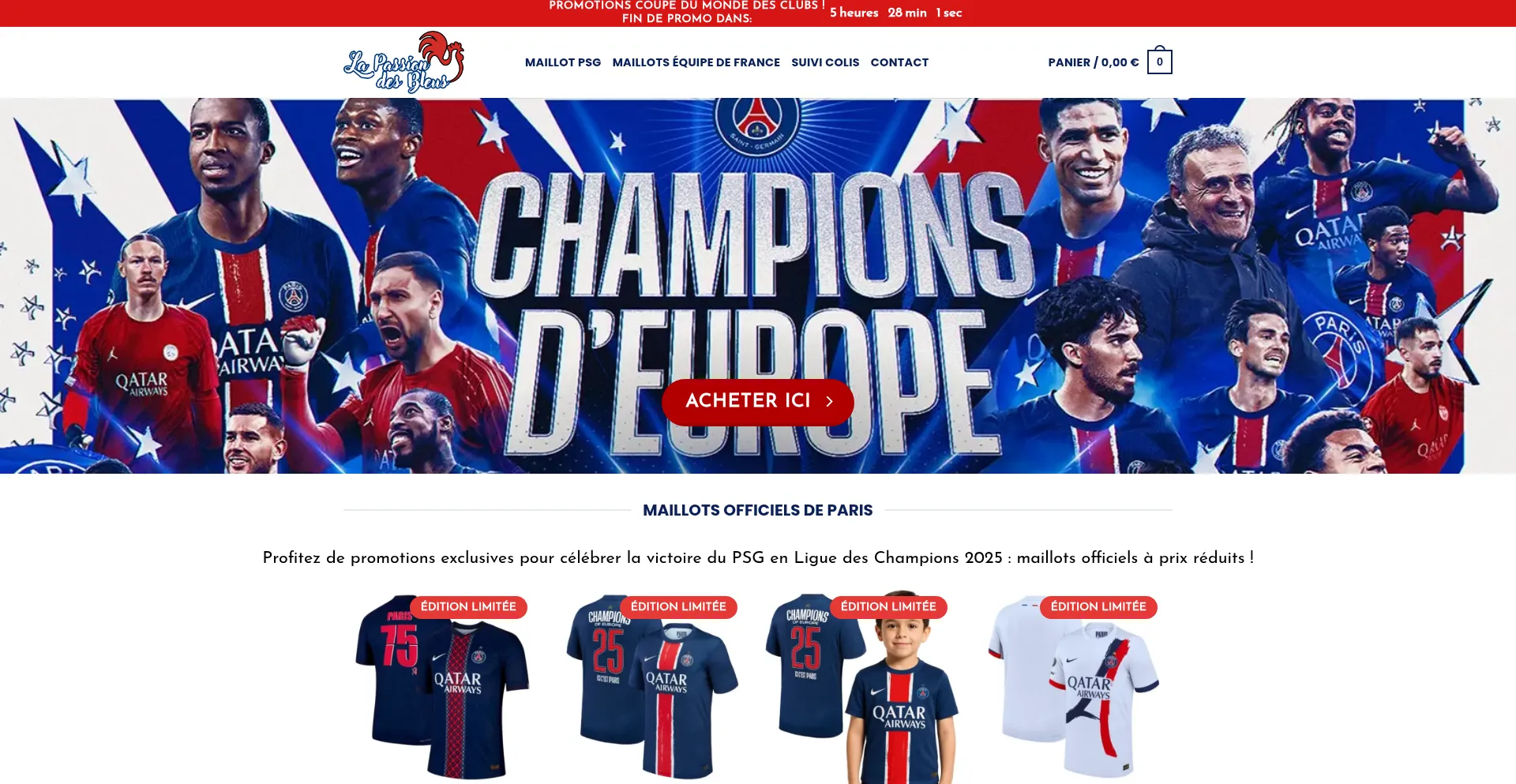 Website screenshot of Passiondesbleus.com