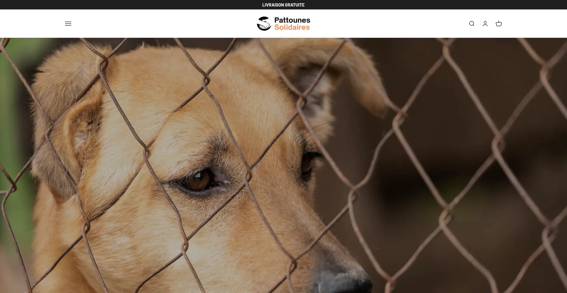 Pattounes-solidaires.com 安全可靠吗？