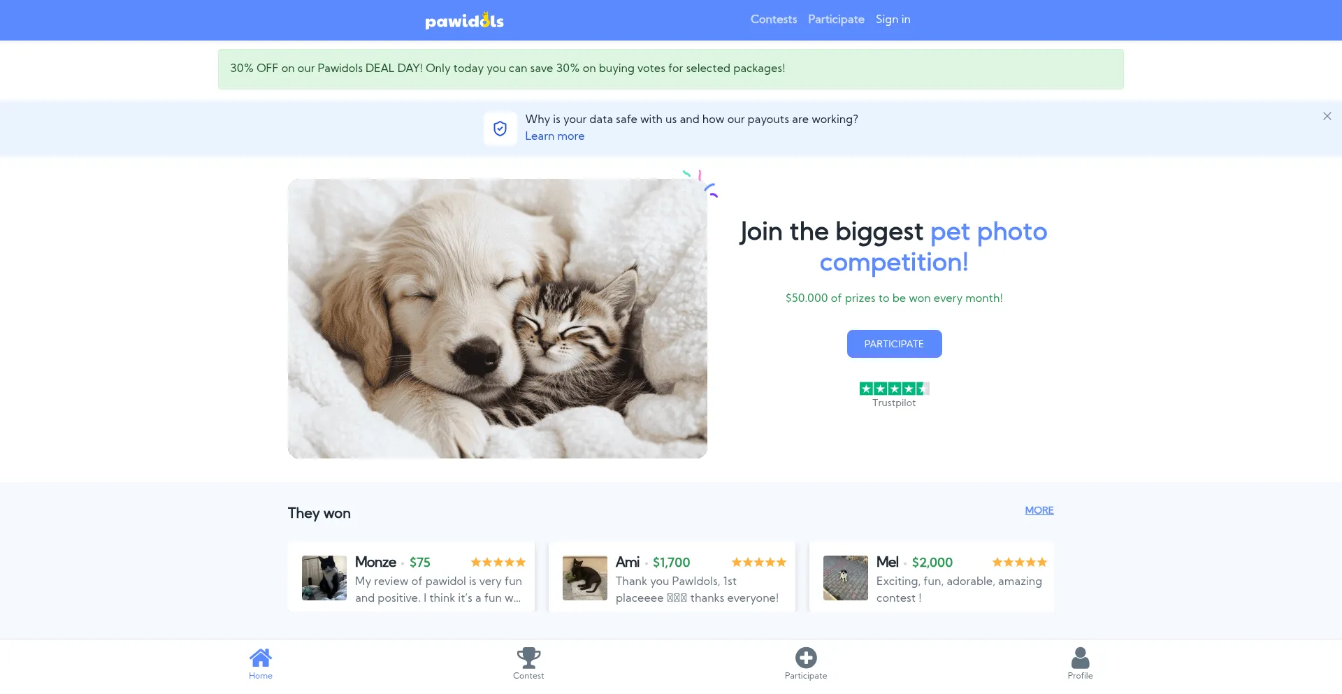 Website screenshot of Pawidols.com