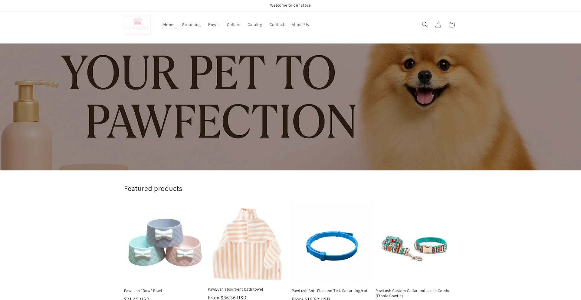 Website screenshot of Pawlushbrush.com