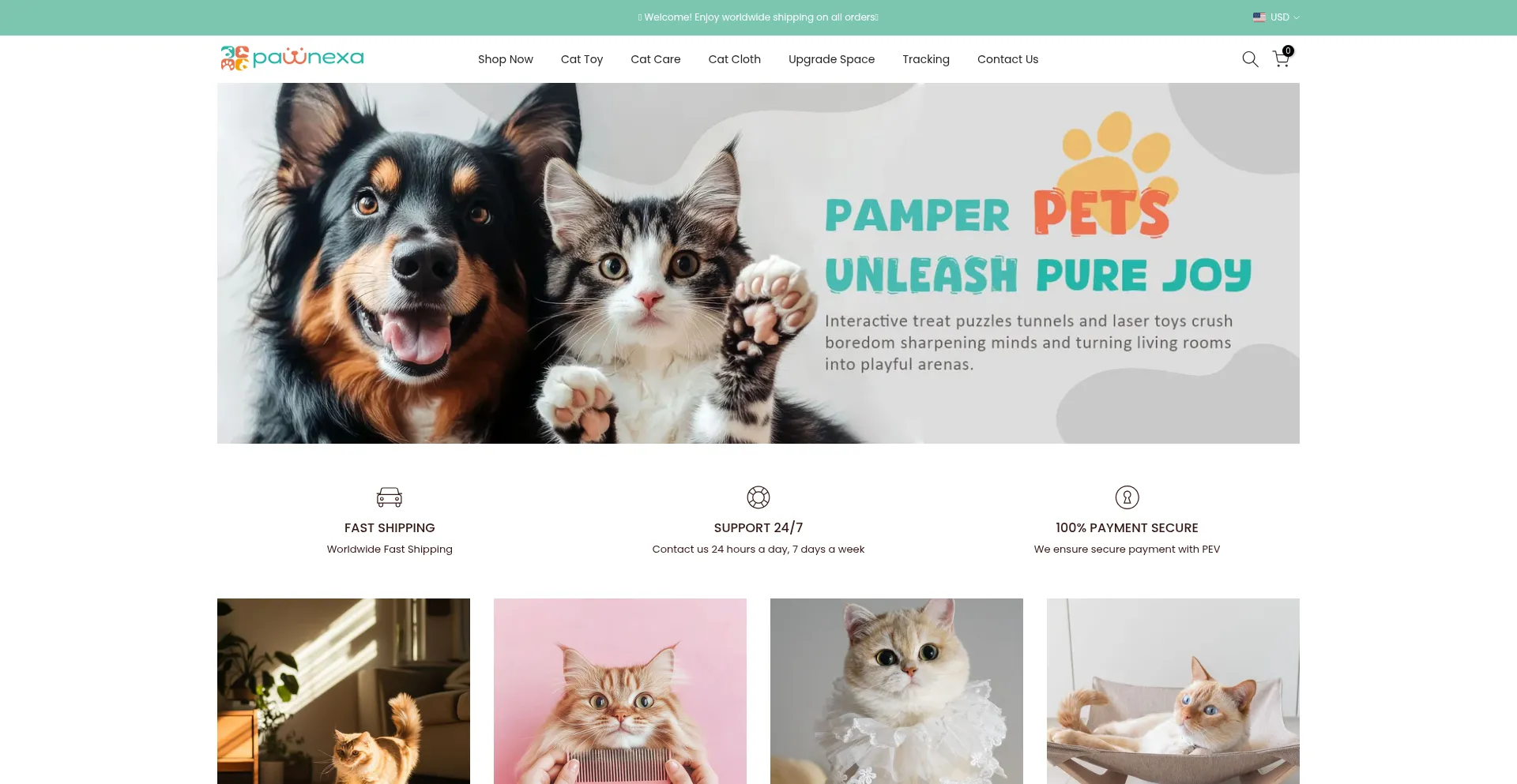 Website screenshot of Pawnexa.com