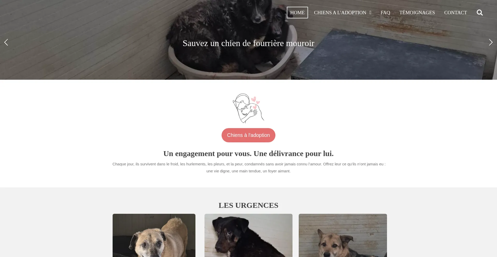 Website screenshot of Pawsintheshadows.com