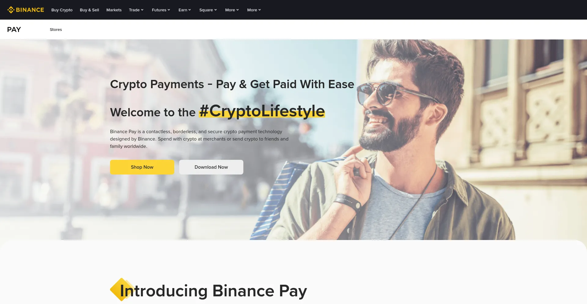 Website screenshot of Pay.binance.com