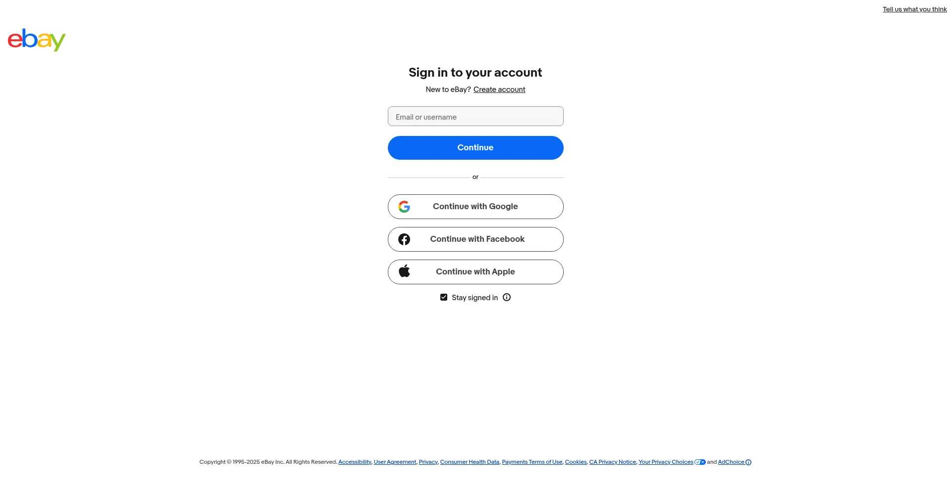 Website screenshot of Pay.ebay.com