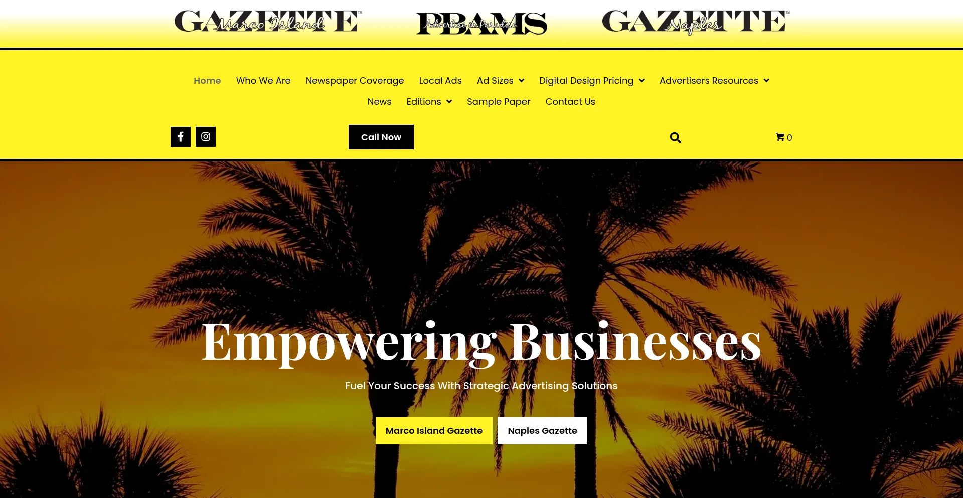 Website screenshot of Pbams.com