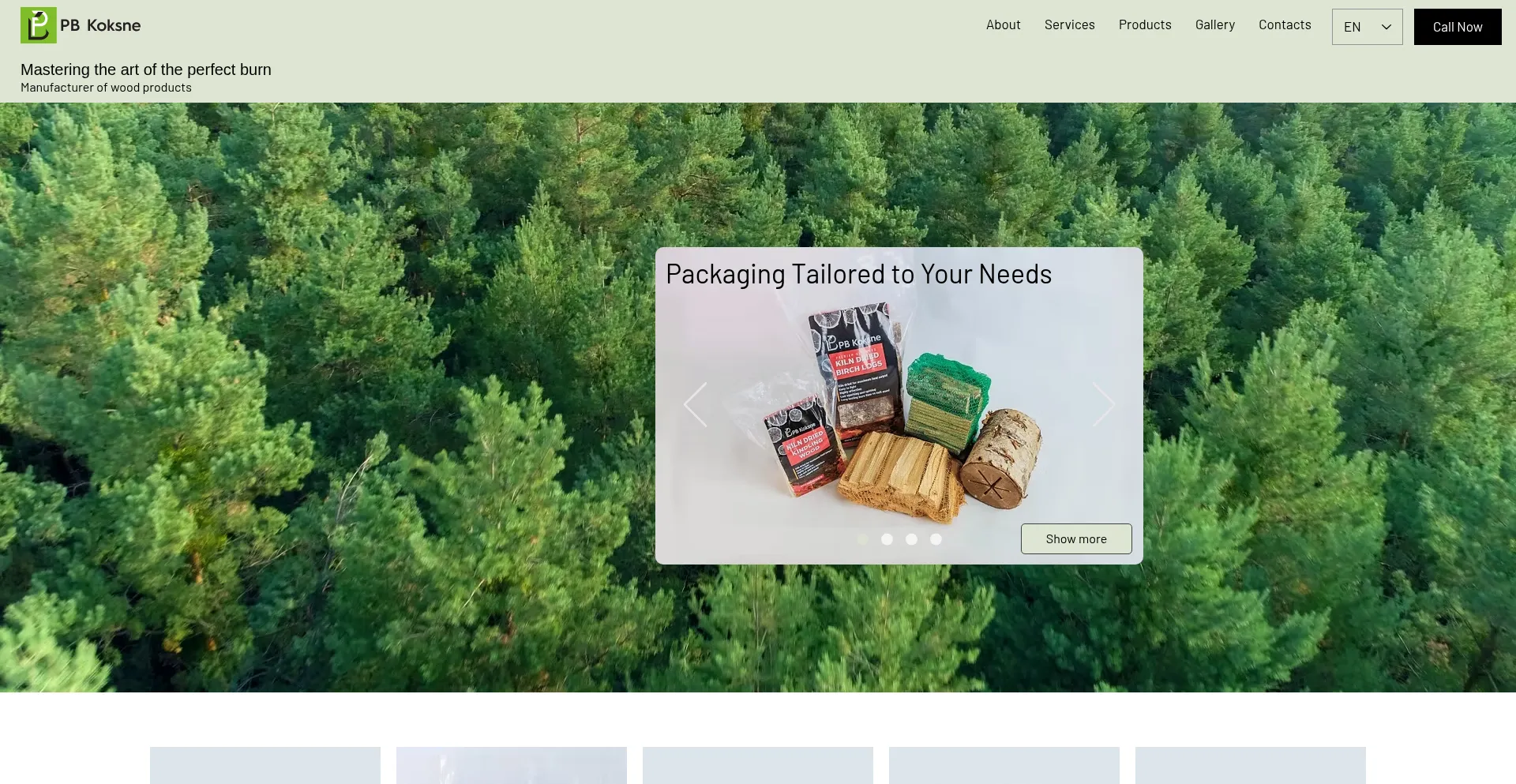Website screenshot of Pbkoksne.lv