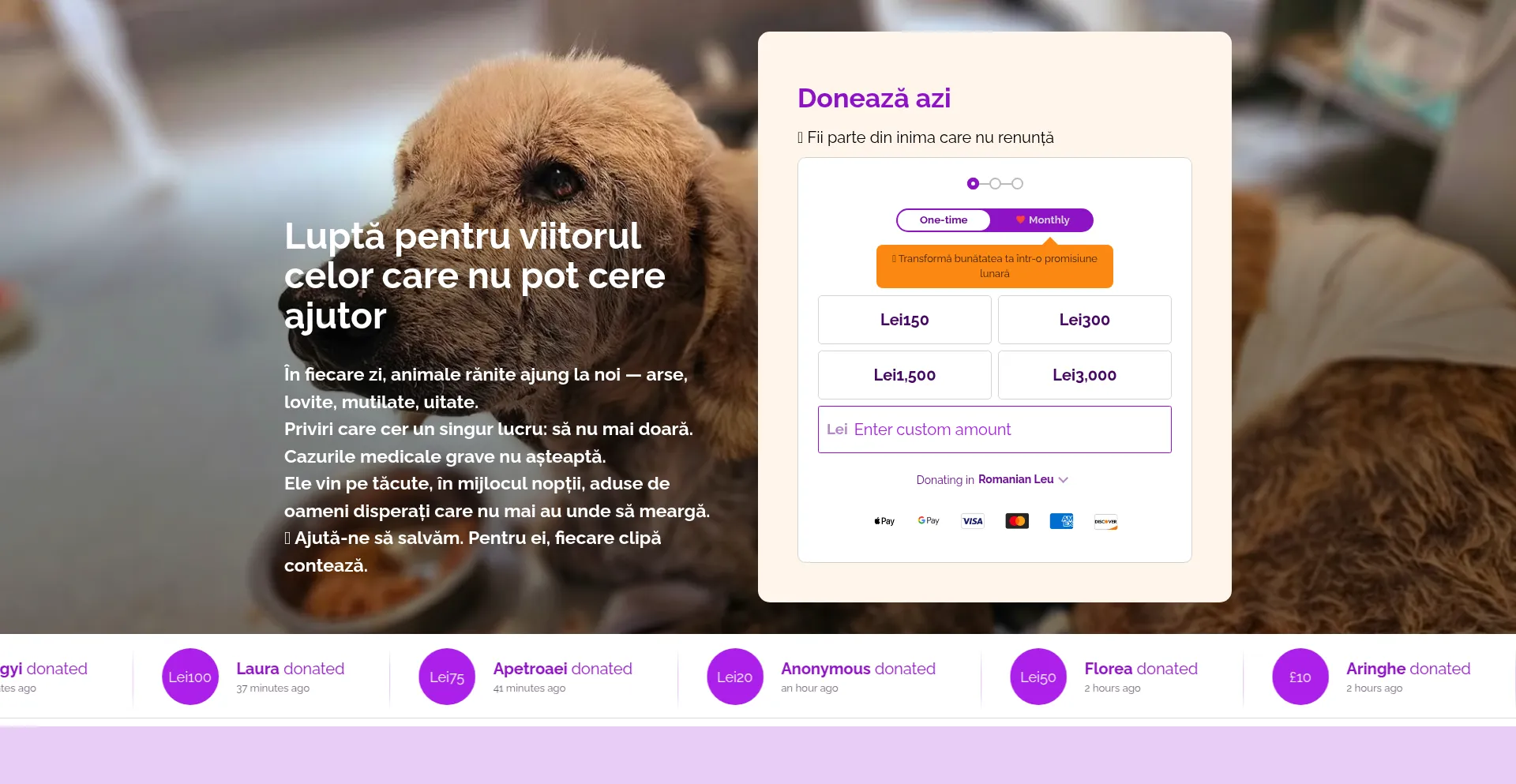 Pentru-toate-inimile-mici-care-nu-au-renuntat.raiselysite.com