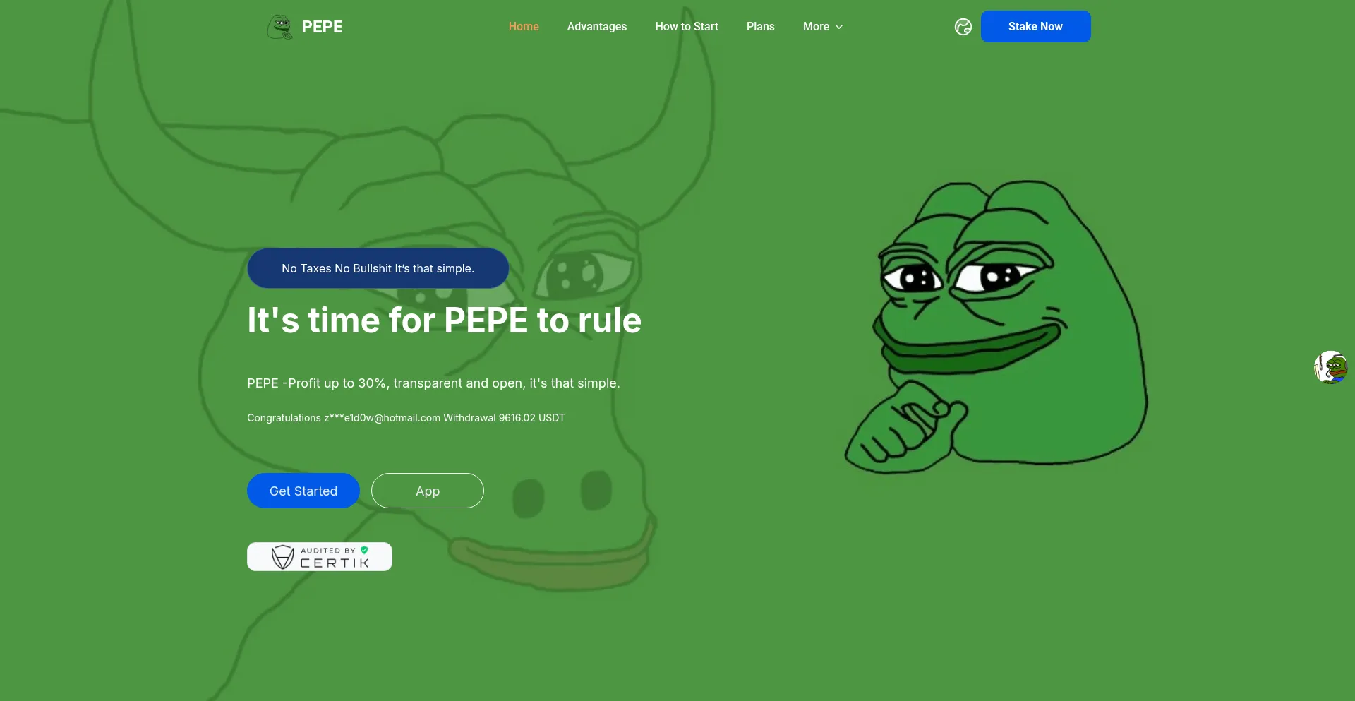 Website screenshot of Pepe2025.xyz