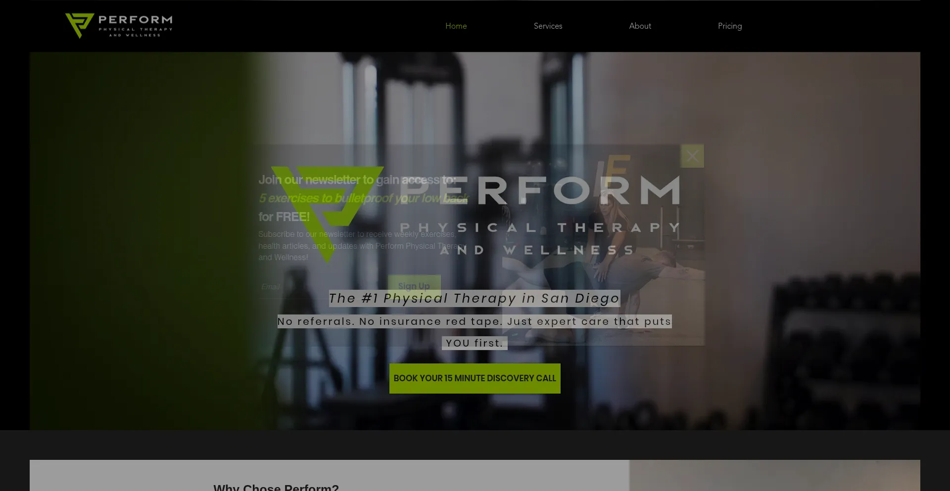 Website screenshot of Performphysicaltherapy.org