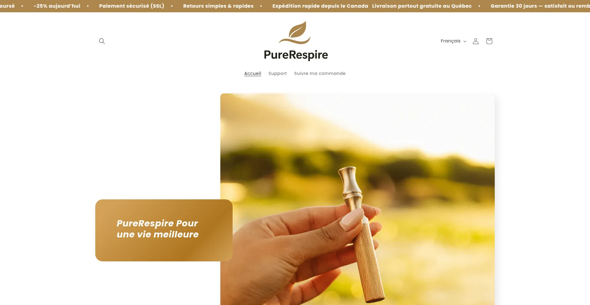 Perlebrush.ca 安全可靠吗？