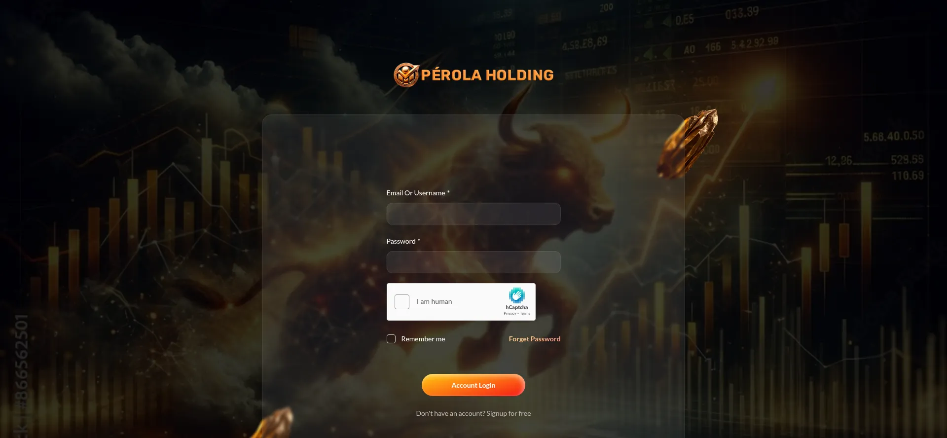 Perolaholding.com