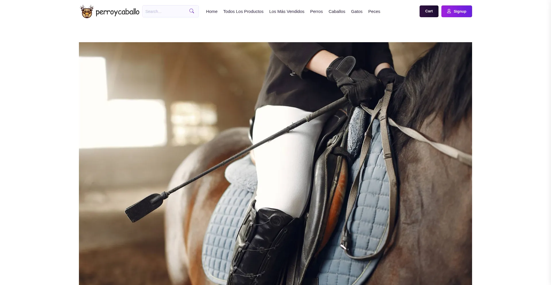 Perroycaballo.com