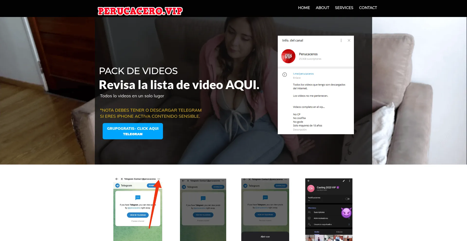Website screenshot of Perucaceros.vip